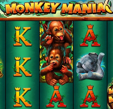 Slot Monkey Mania – Cara bermain Slot Monkey Mania oleh Fun88